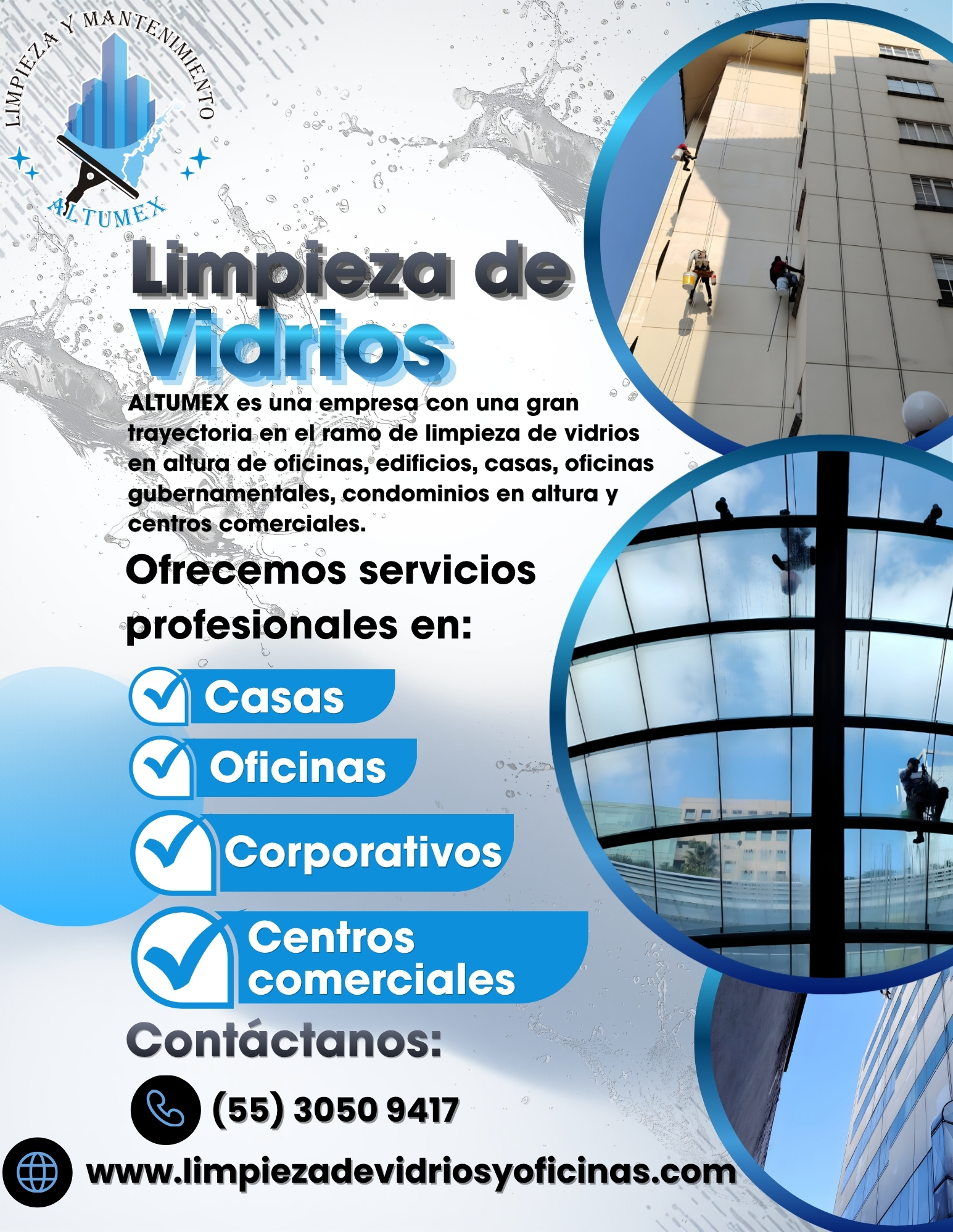 Servicio Profesional Altumex